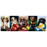 04849_GROW_QC350Panorama_Cachorrinhos_Esportistas_Mapa -1-.jpg